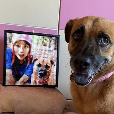 Review Image